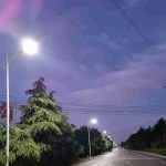 All In One LED Solar Street Light 50W 5000K IP65 with 3 years warranty (13)